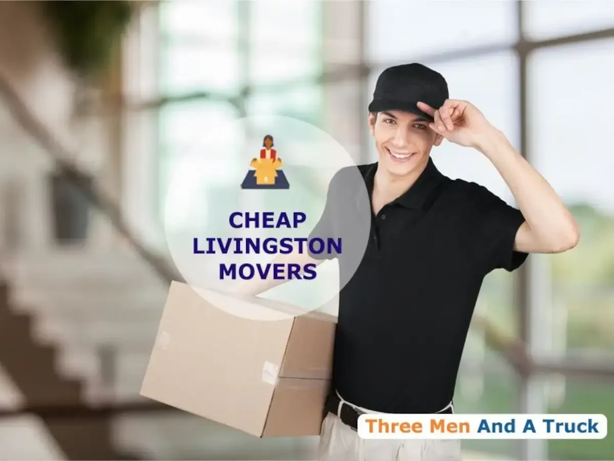 Best Livingston Movers Near Me Premium Moving Companies