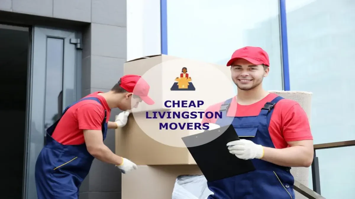 Best Livingston Movers Near Me Premium Moving Companies