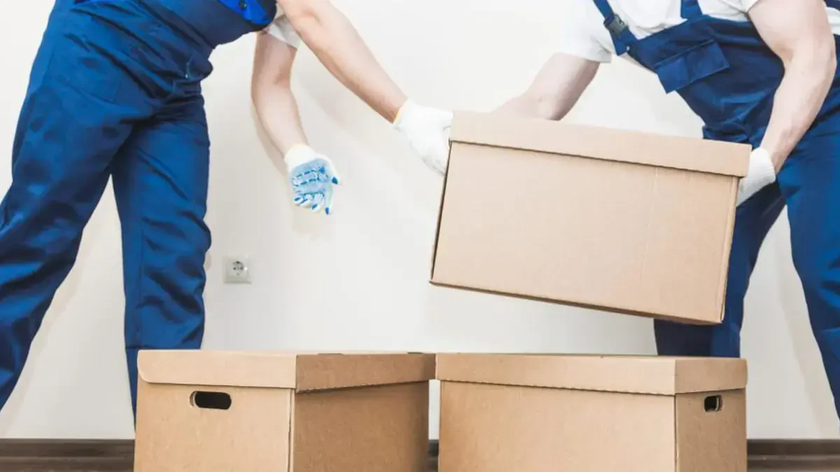 Best Greeley Local Movers Near Me – Premium Greeley, CO Local Moving Companies
