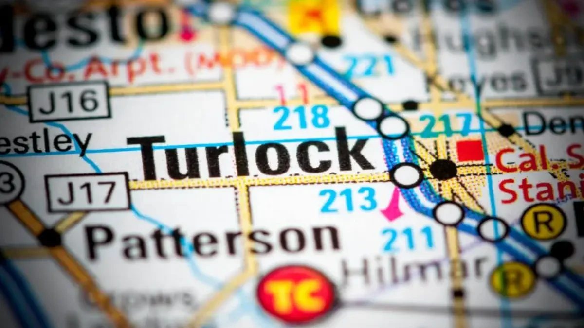 Best Turlock Local Movers Near Me Premium Moving Companies