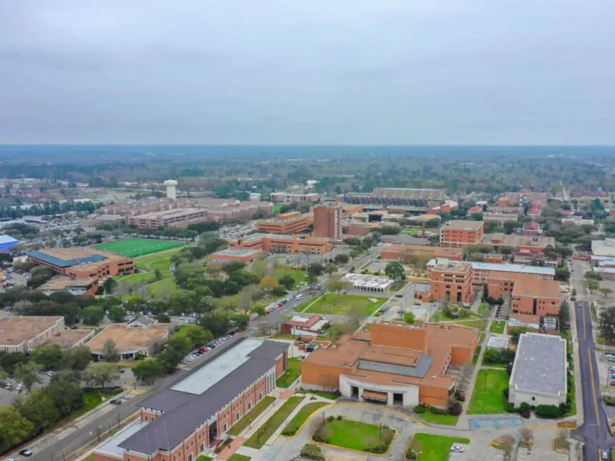 Best Hattiesburg Local Movers Near Me Premium Moving Companies