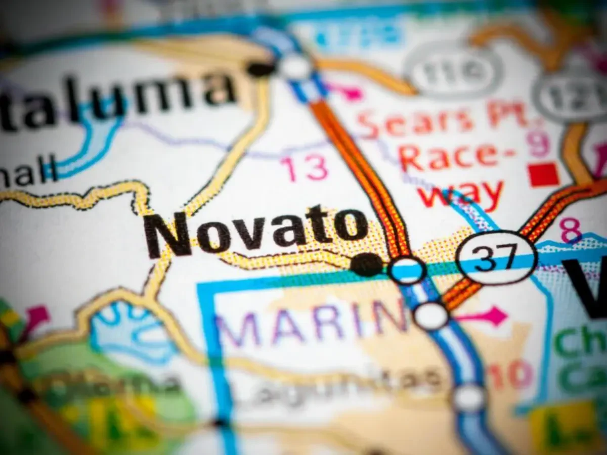 Best Novato Local Movers Near Me – Premium Novato, CA Local Moving Companies