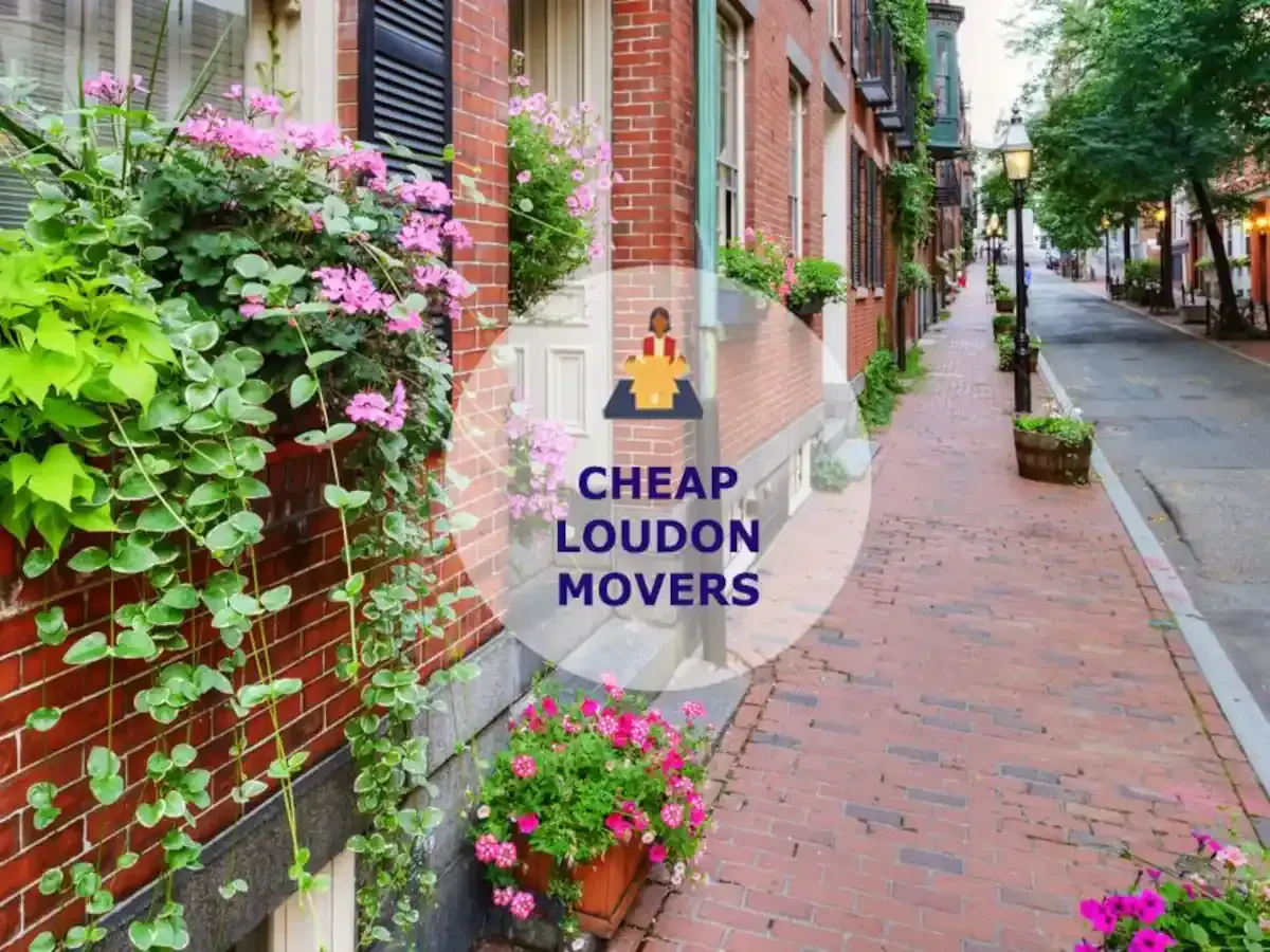 Best Loudon Movers Near Me Premium Moving Companies