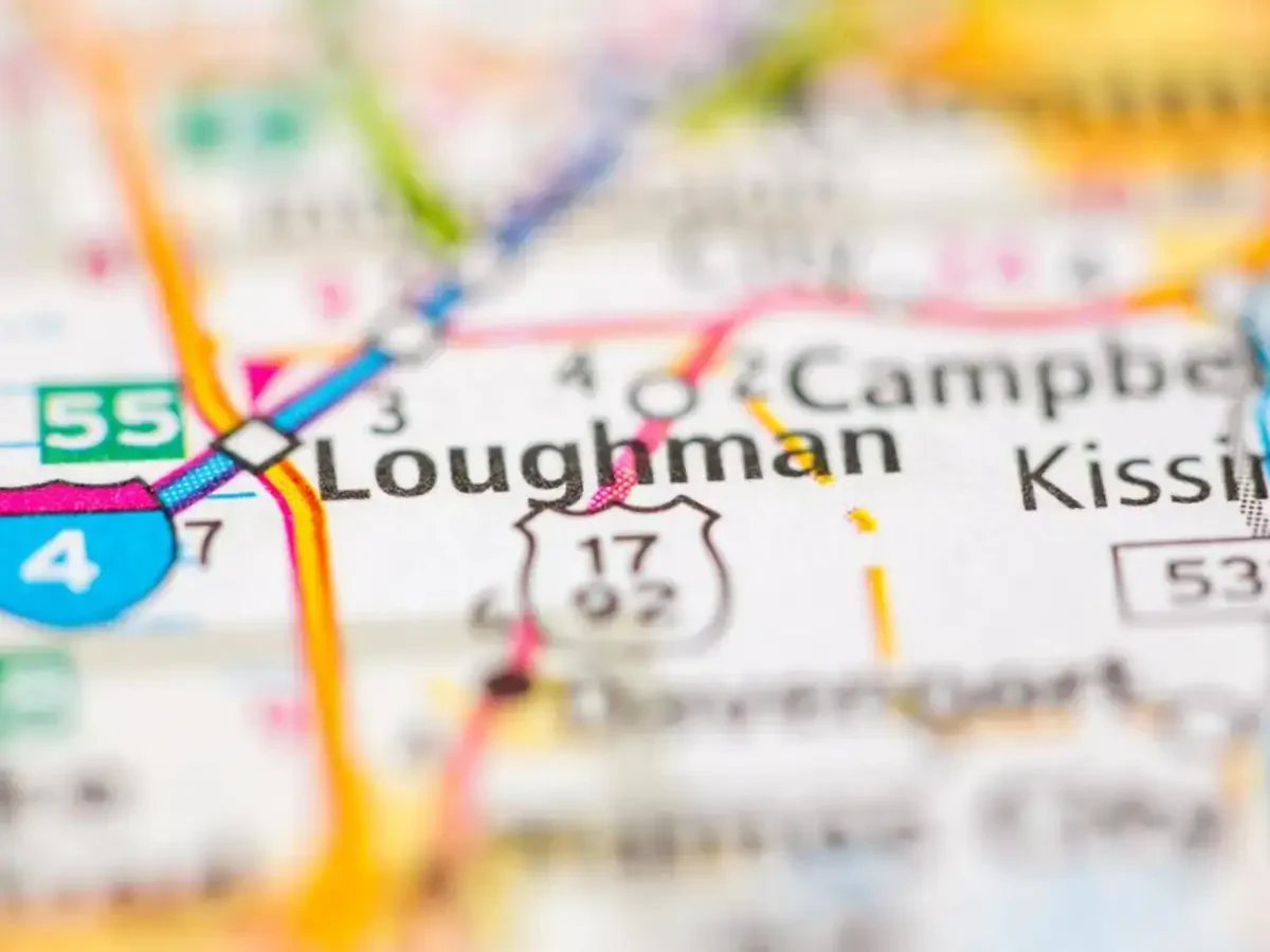 Best Loughman Movers Near Me – Premium Loughman, FL Moving Companies