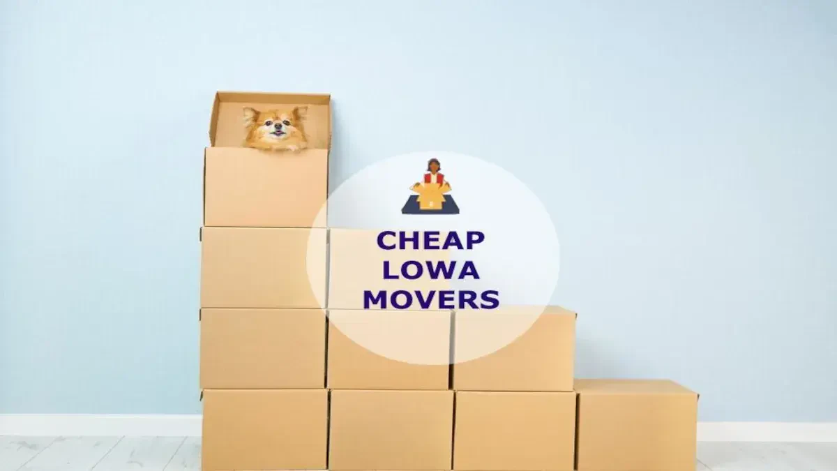 Best Lowa Movers Near Me – Premium Lowa, MD Moving Companies