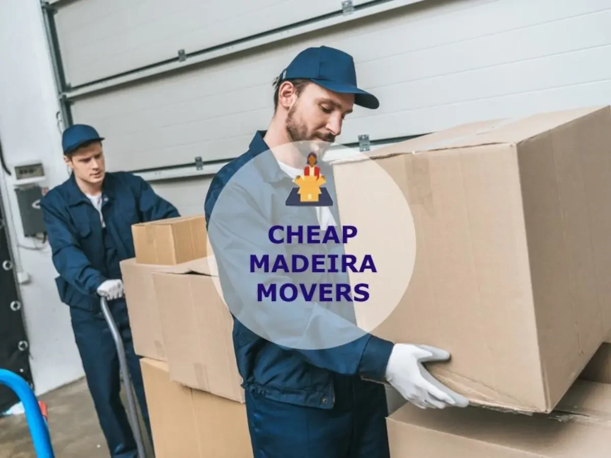 Best Madeira Movers Near Me – Premium Madeira, OH Moving Companies