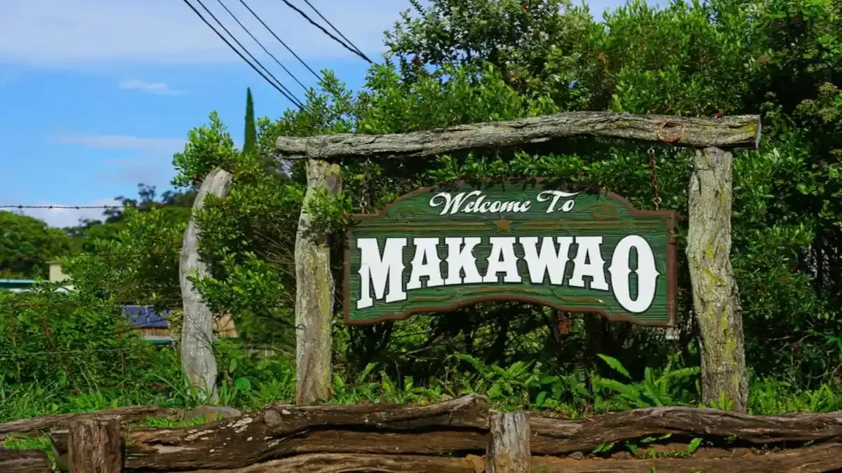 Best Makawao Movers Near Me – Premium Makawao, HI Moving Companies