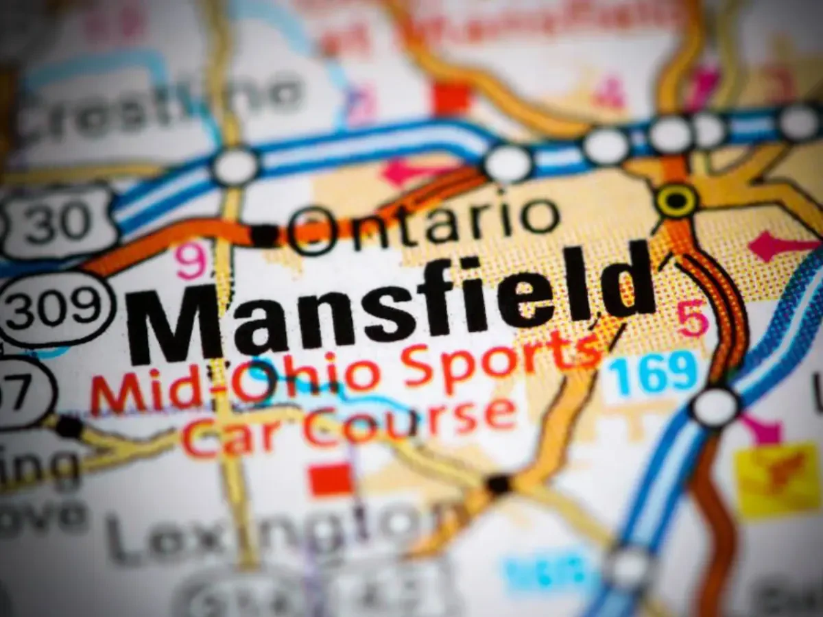 Best Full Service Long Distance Movers in Mansfield: Trusted Moving Experts