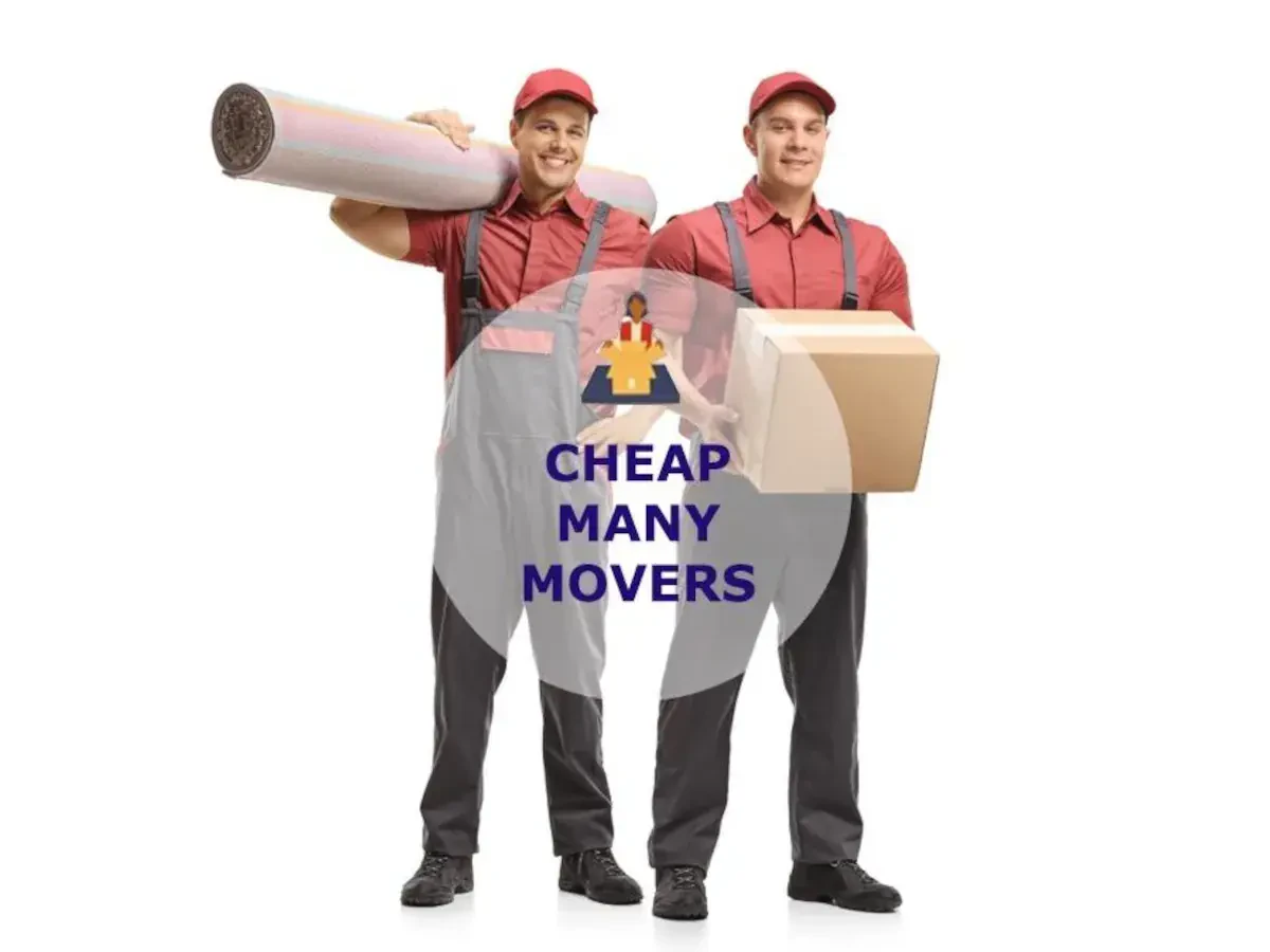 Best Many Movers Near Me – Premium Many, LA Moving Companies