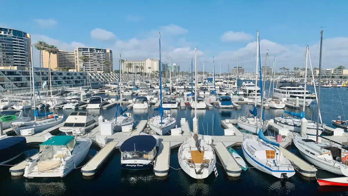 Best Marina Del Rey Movers Near Me – Premium Marina Del Rey, CA Moving Companies