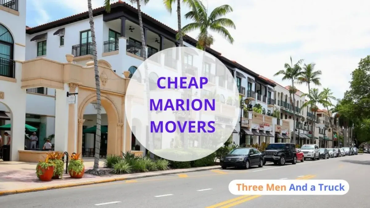 Best Marion Movers Near Me Premium Moving Companies