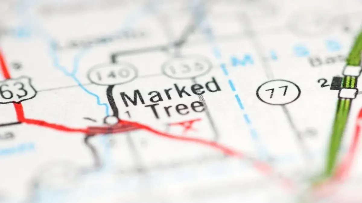 Best Marked Tree Movers Near Me – Premium Marked Tree, AR Moving Companies