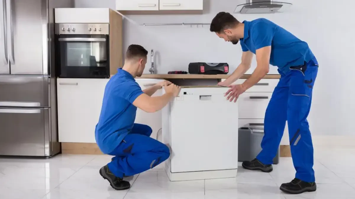 Best Marshfield Movers Near Me – Premium Marshfield, WI Moving Companies