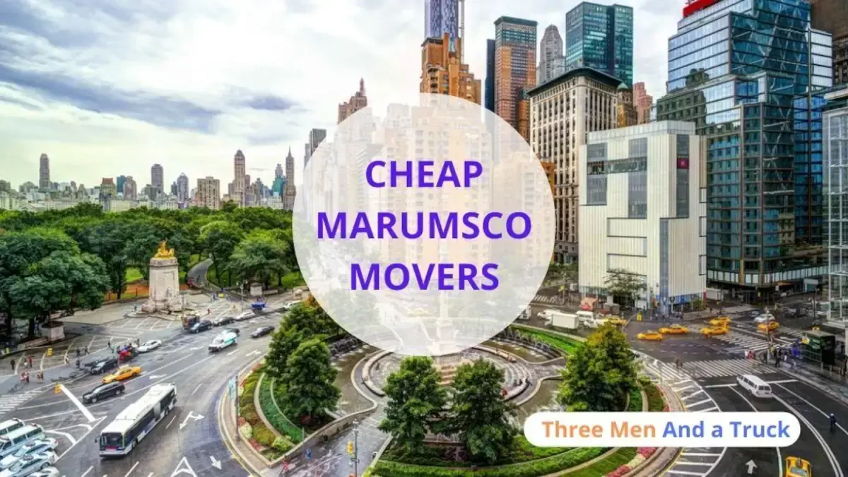 Best Marumsco Movers Near Me – Premium Marumsco, VA Moving Companies