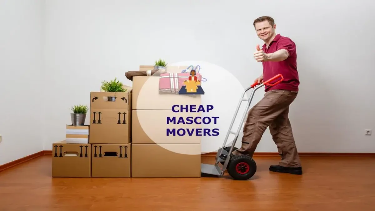 Best Mascot Movers Near Me – Premium Mascot, TN Moving Companies