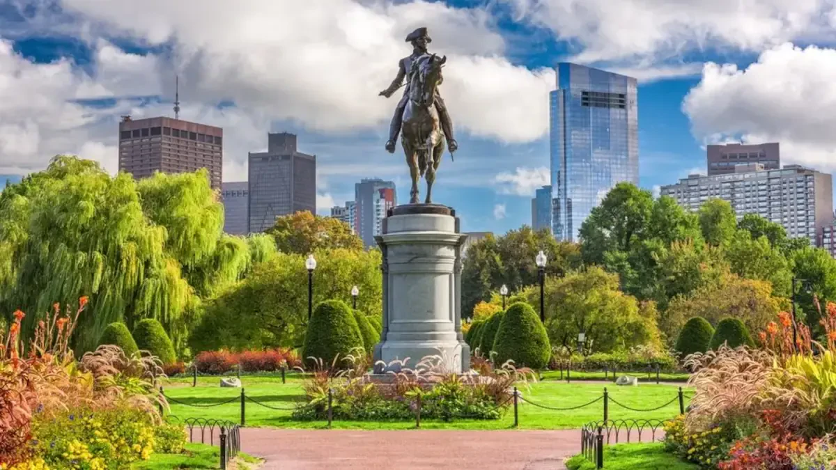 Office Movers Massachusetts and Best Moving Companies