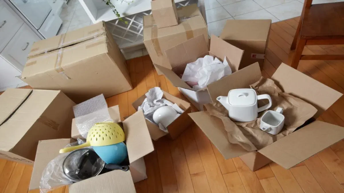 Best Massanutten Movers Near Me – Premium Massanutten, VA Moving Companies