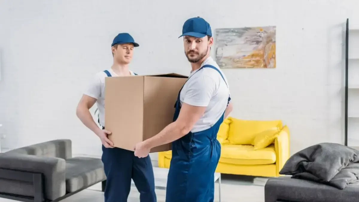 Best Mathews County Movers Near Me – Premium Mathews County, VA Moving Companies