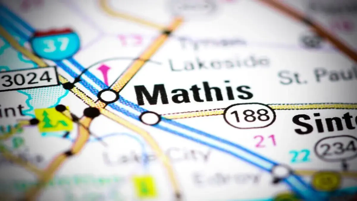 Best Mathis Movers Near Me Premium Moving Companies