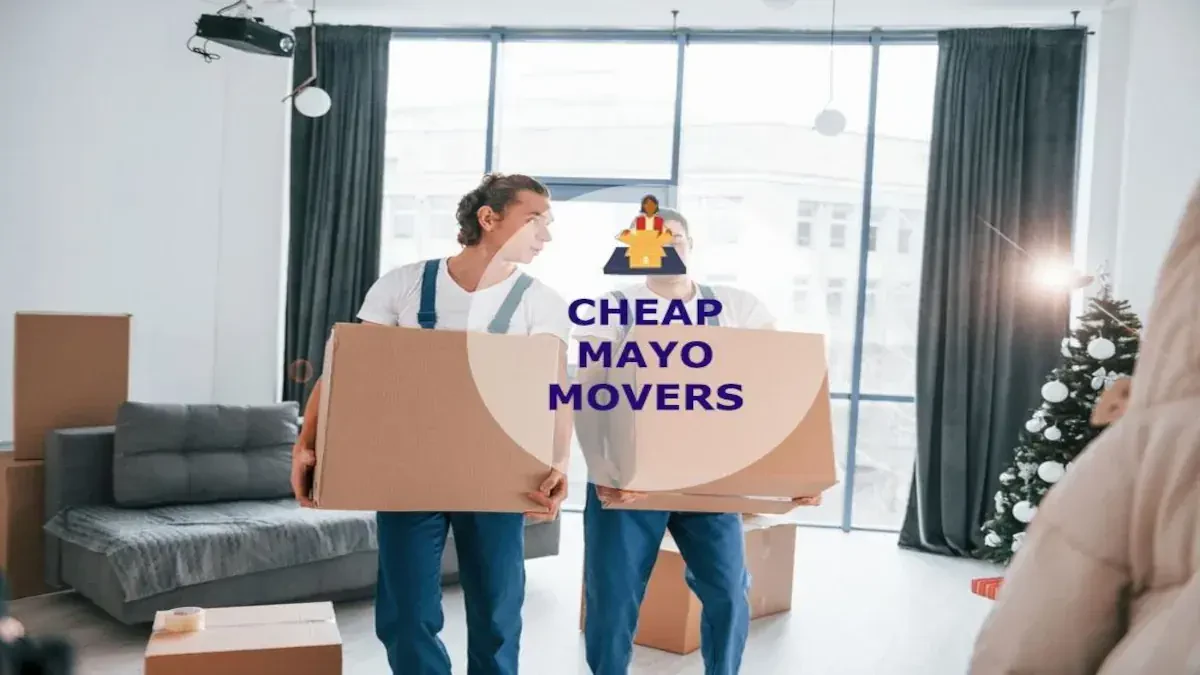 Best Mayo Movers Near Me – Premium Mayo, MD Moving Companies