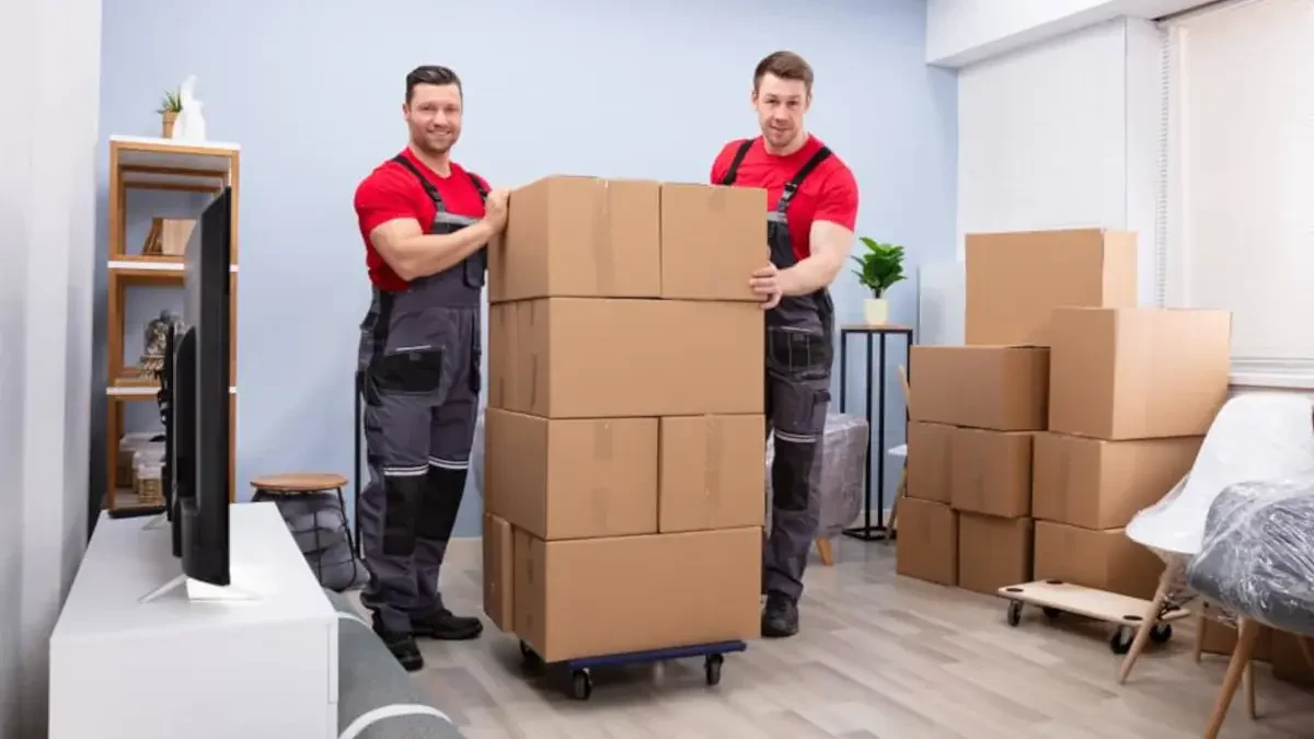 Best McLeod County Movers Near Me – Premium McLeod County, MN Moving Companies
