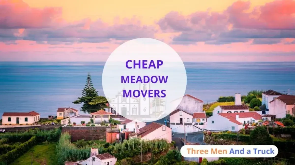 Best Meadow Movers Near Me – Premium Meadow, AK Moving Companies
