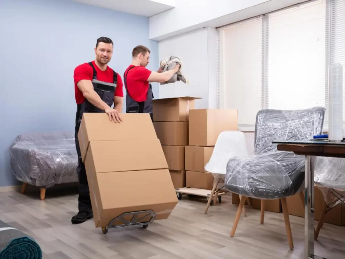 Best Menominee County Movers Near Me – Premium Menominee County, MI Moving Companies