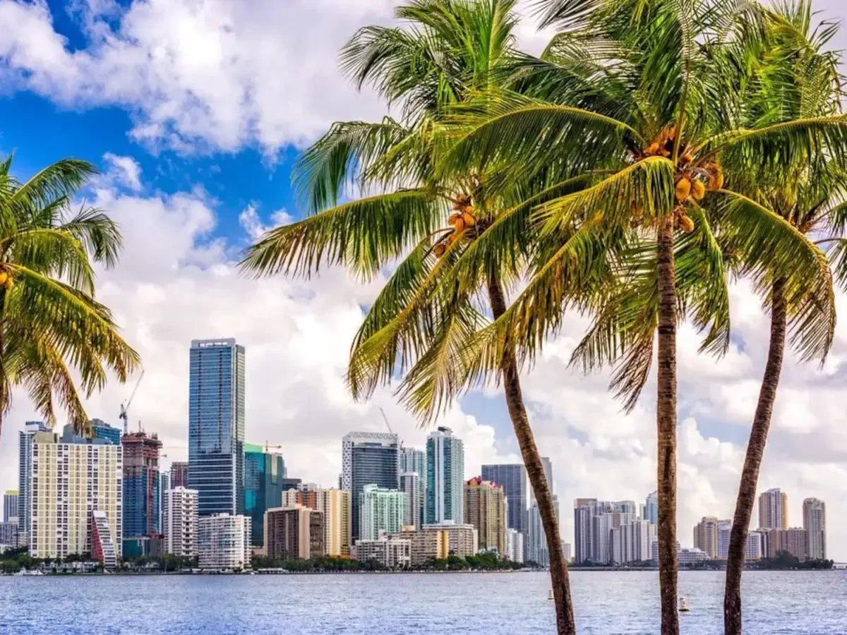 International Moving Company Miami