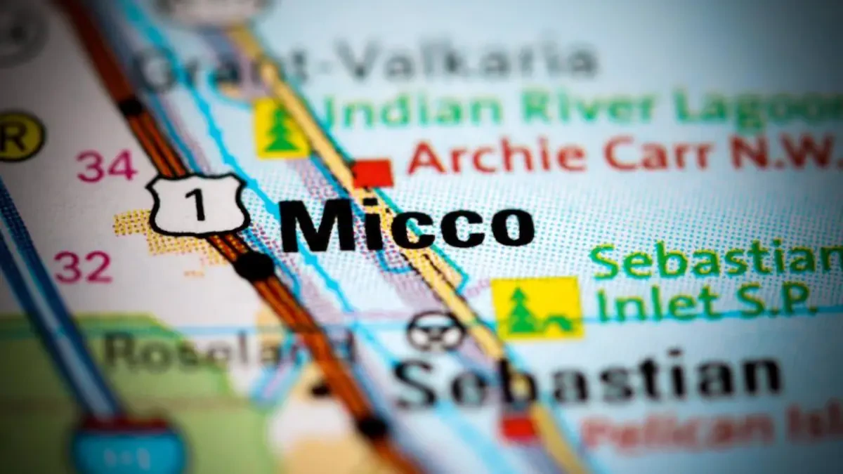 Best Micco Movers Near Me – Premium Micco, FL Moving Companies