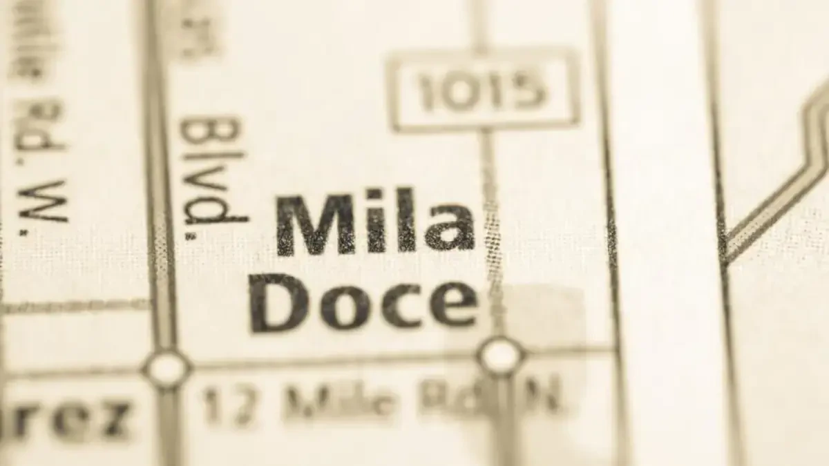 Best Mila Doce Movers Near Me – Premium Mila Doce, TX Moving Companies