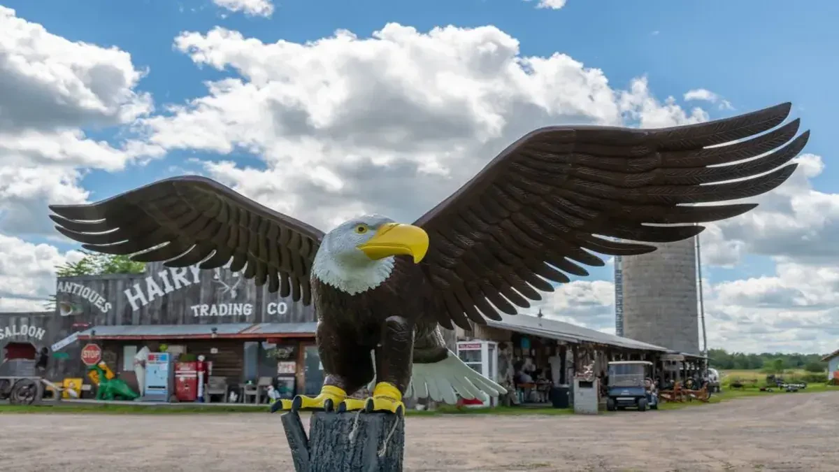 Best Milaca Movers Near Me – Premium Milaca, MN Moving Companies