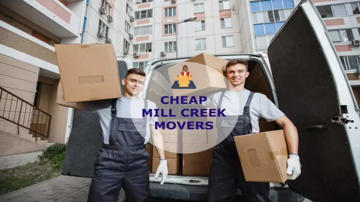 Best Mill Creek Movers Near Me With Premium Moving Companies