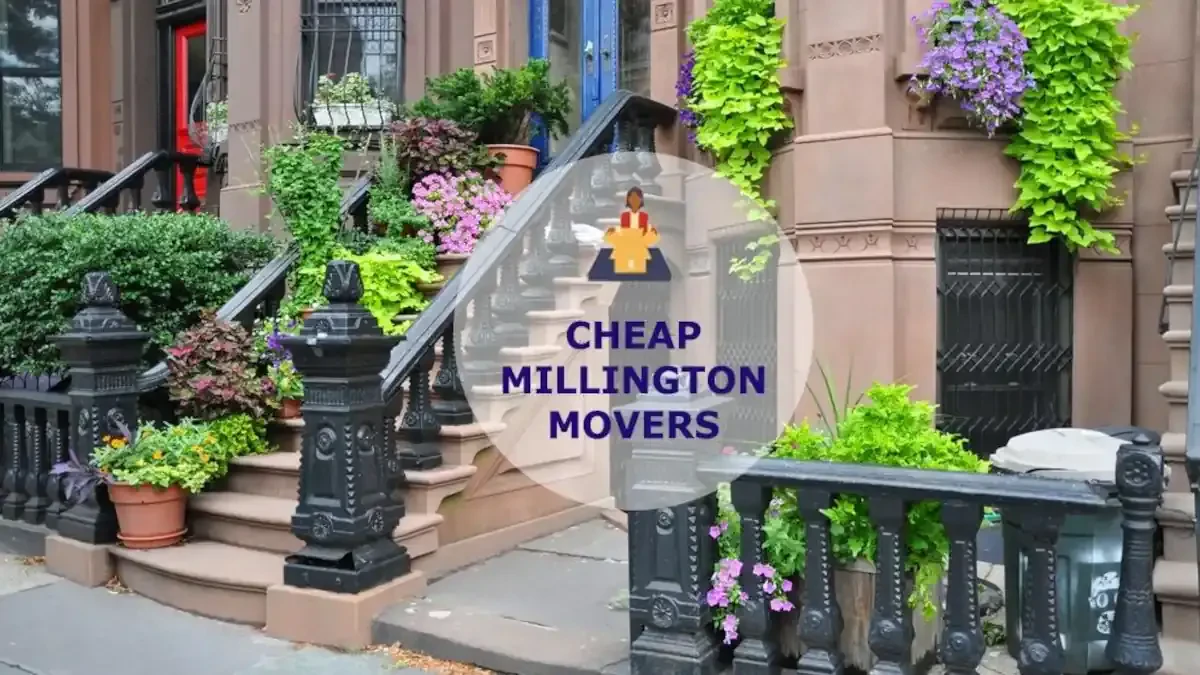 Best Millington Movers Near Me – Premium Millington, TN Moving Companies