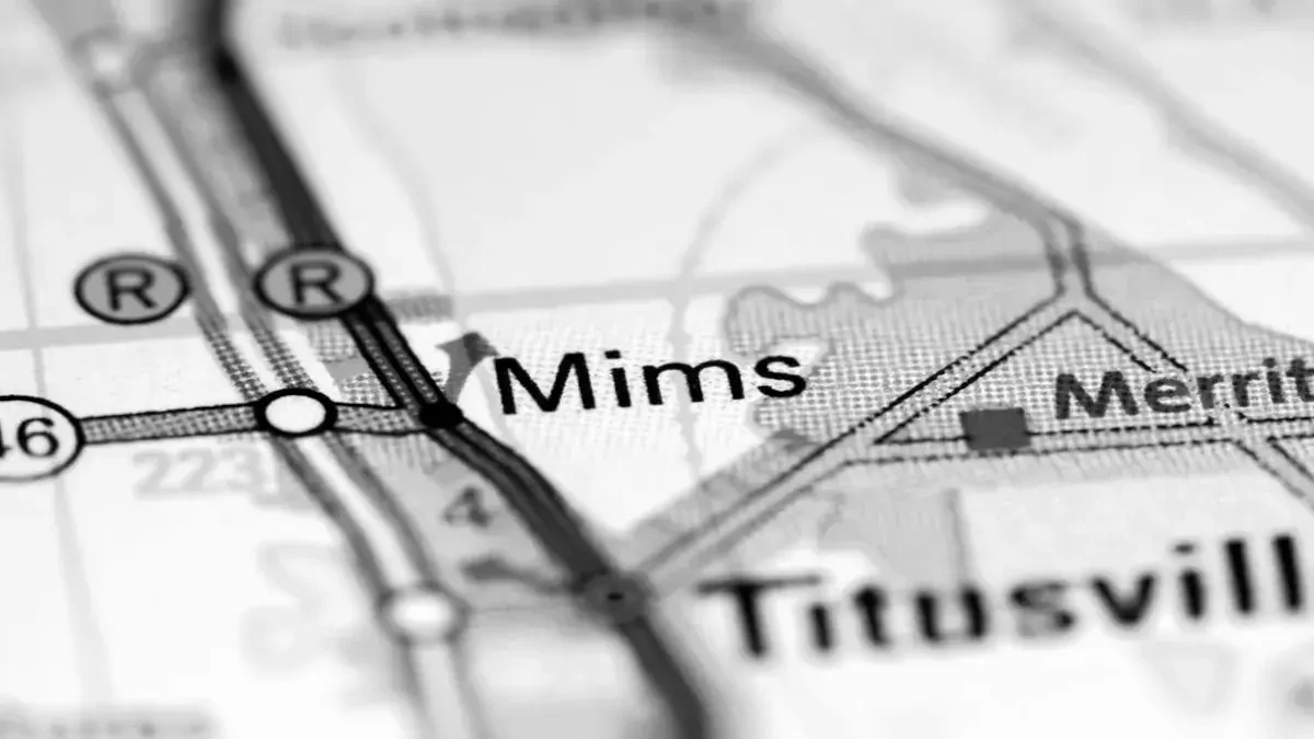 Best Mims Movers Near Me – Premium Mims, FL Moving Companies