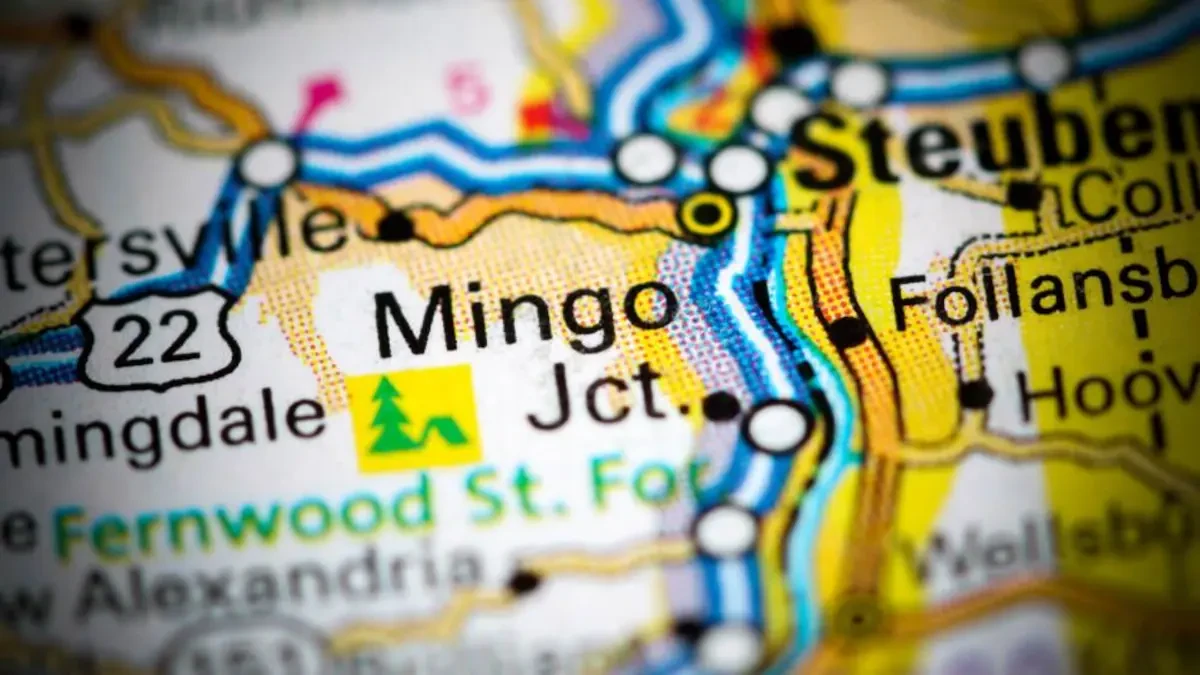 Best Mingo Junction Movers Near Me – Premium Mingo Junction, OH Moving Companies