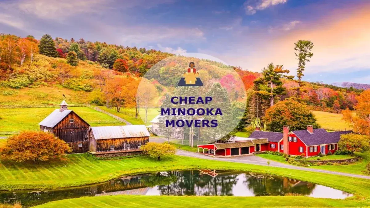 Best Minooka Movers Near Me Premium Moving Companies