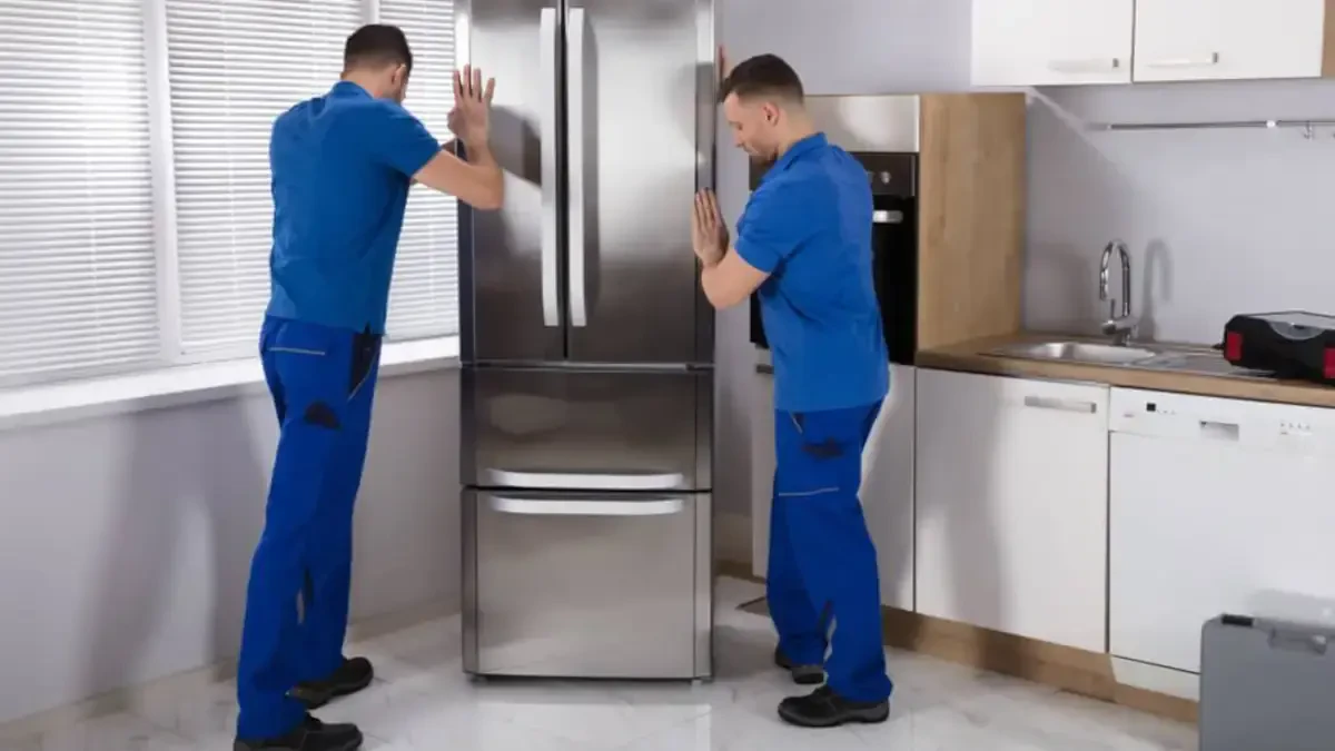 Best Monroe County Movers Near Me – Premium Monroe County, MI Moving Companies