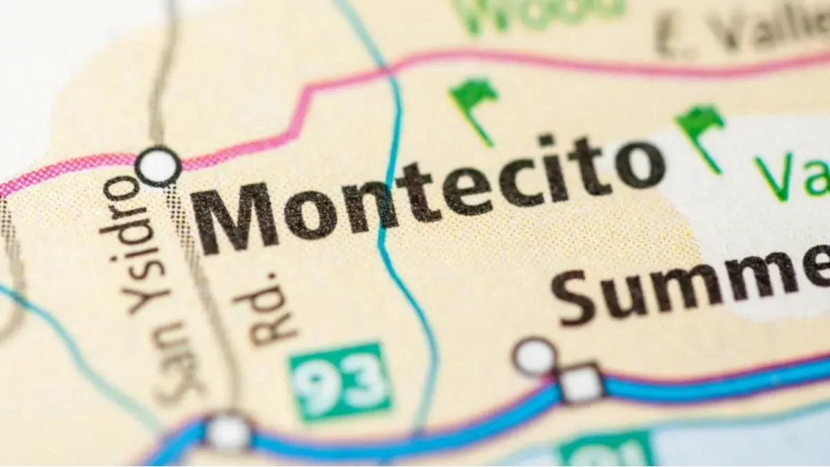 Best Montecito Movers Near Me Premium Moving Companies