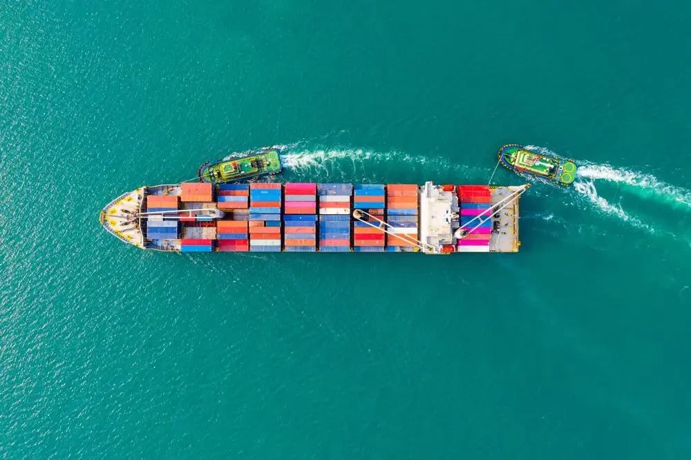 Montenegro International Movers