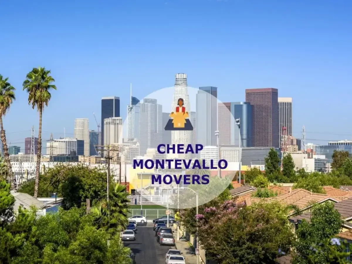 Best Montevallo Movers Near Me – Premium Montevallo, AL Moving Companies