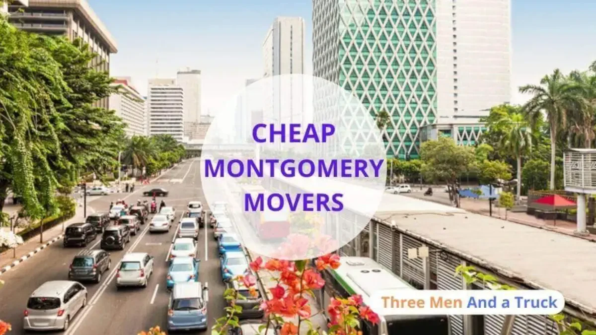 Best Montgomery Movers Near Me Premium Moving Companies