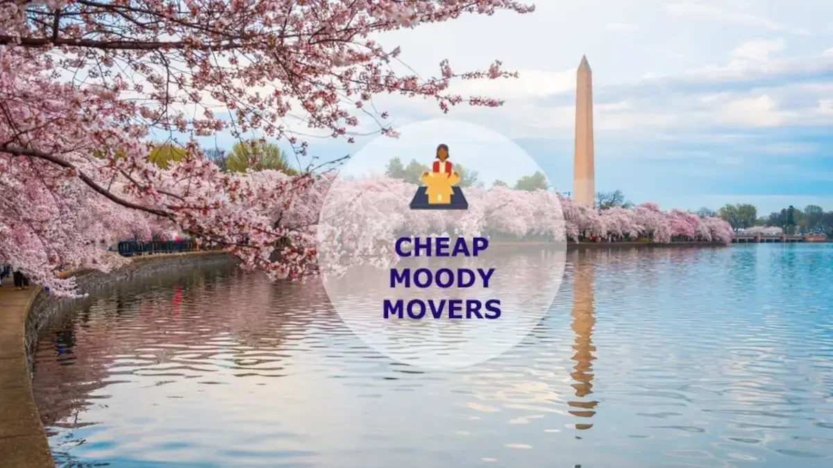 Best Moody Movers Near Me – Premium Moody, AL Moving Companies