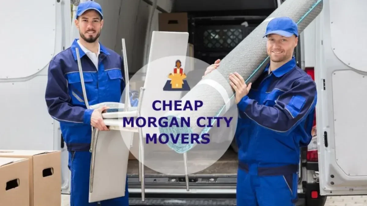 Best Morgan City Movers Near Me – Premium Morgan City, LA Moving Companies