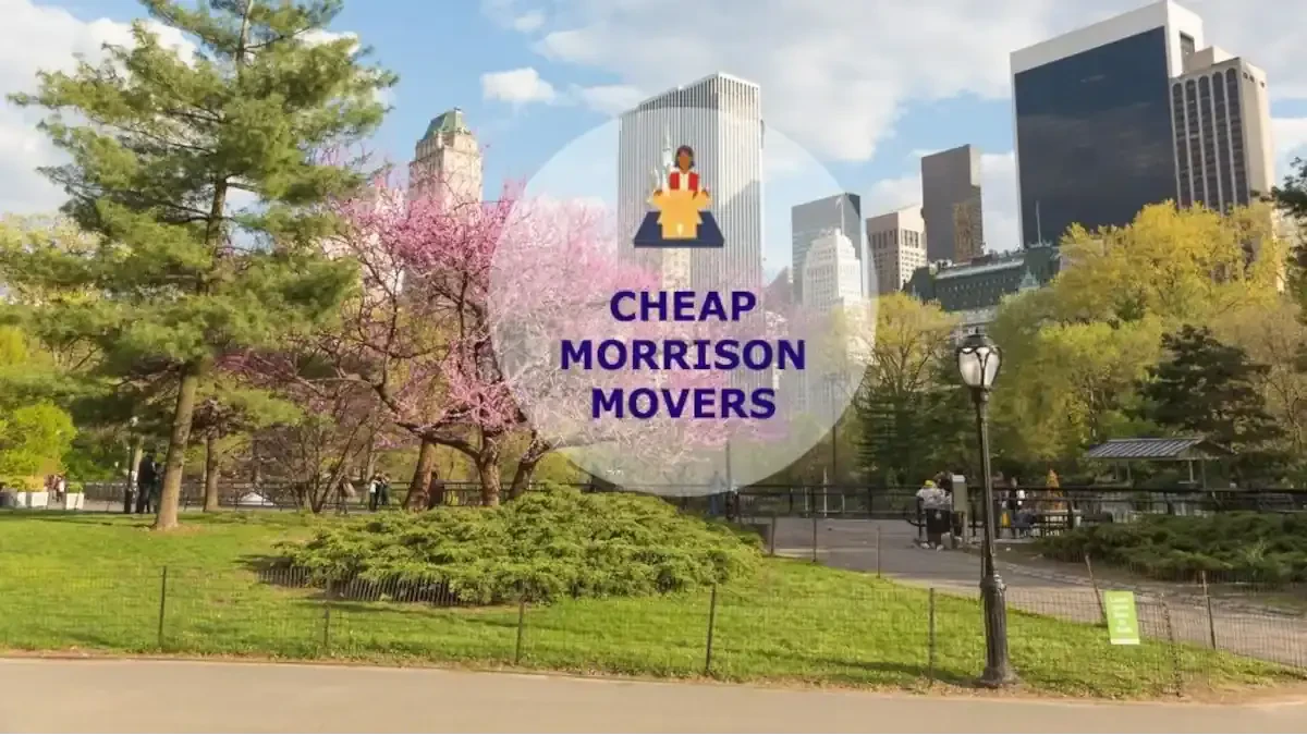 Best Morrison Movers Near Me – Premium Morrison, IL Moving Companies
