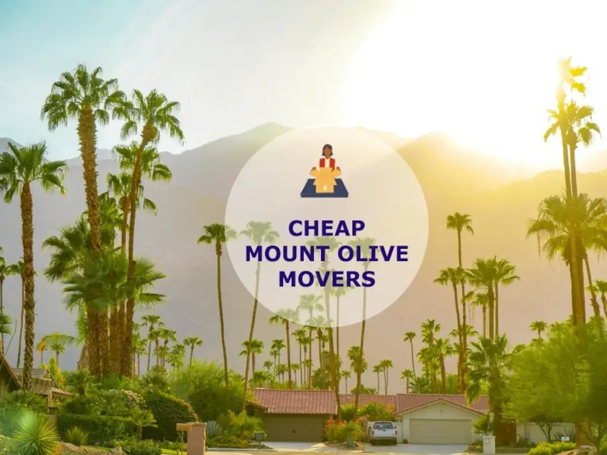 Best Mount Olive Movers Near Me – Premium Mount Olive, AL Moving Companies