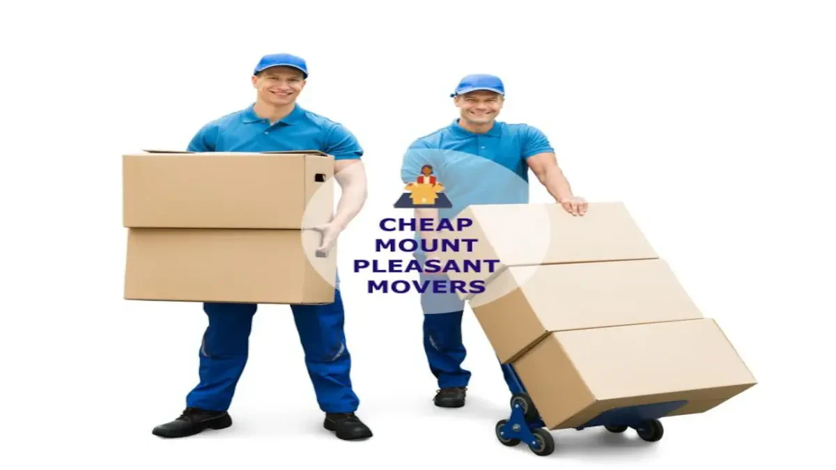 Best Mount Pleasant Movers Near Me – Premium Mount Pleasant, TN Moving Companies