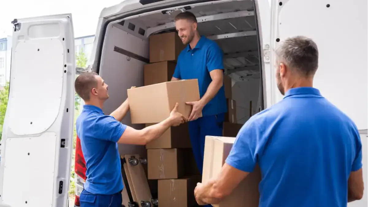 Best Mountain View Movers Near Me – Premium Mountain View, HI Moving Companies