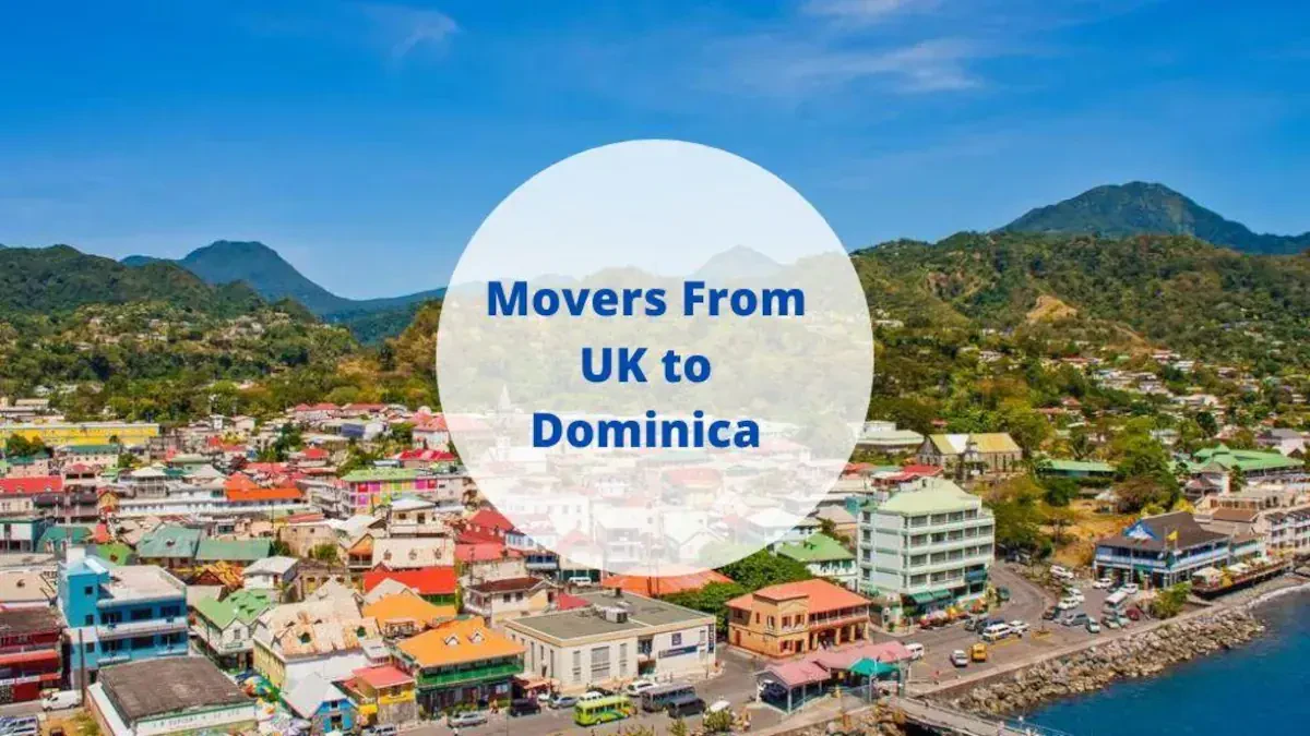 Movers From the UK to Dominica