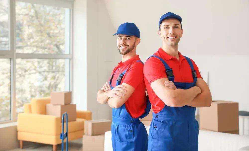 best movers in bellevue oh