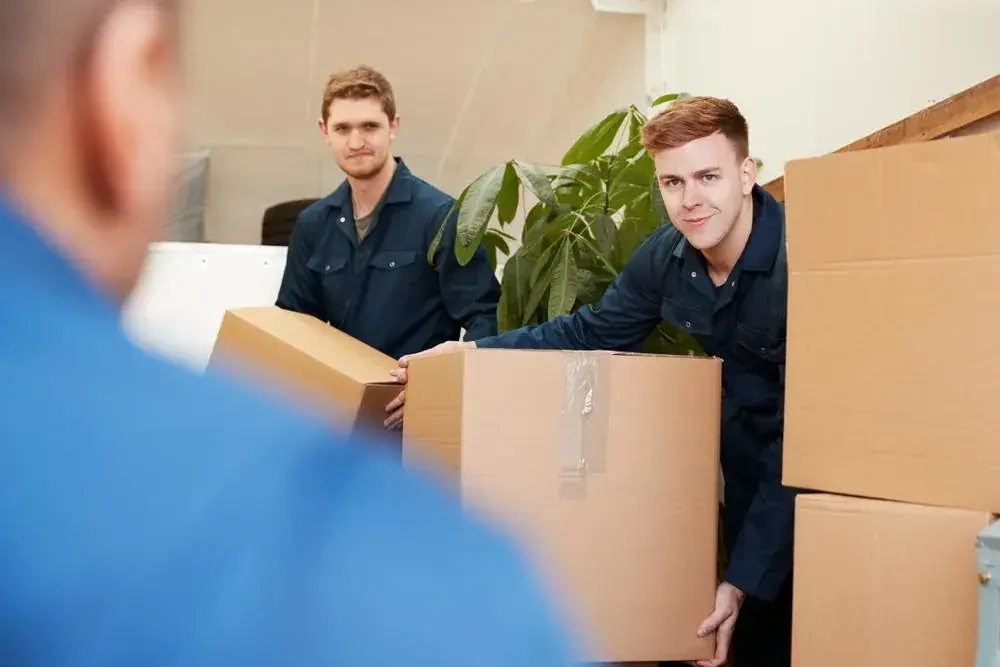 Best Movers In Bridgeton, NJ
